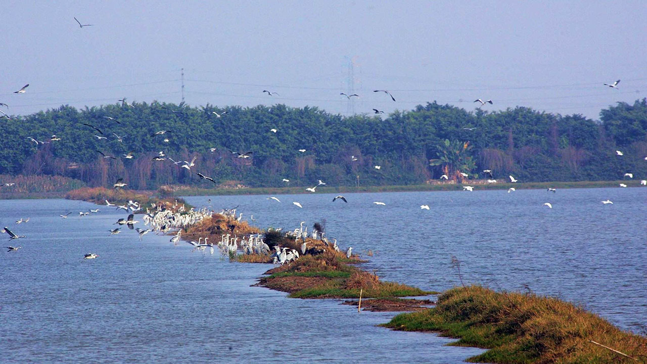 南沙濕地公園.jpg