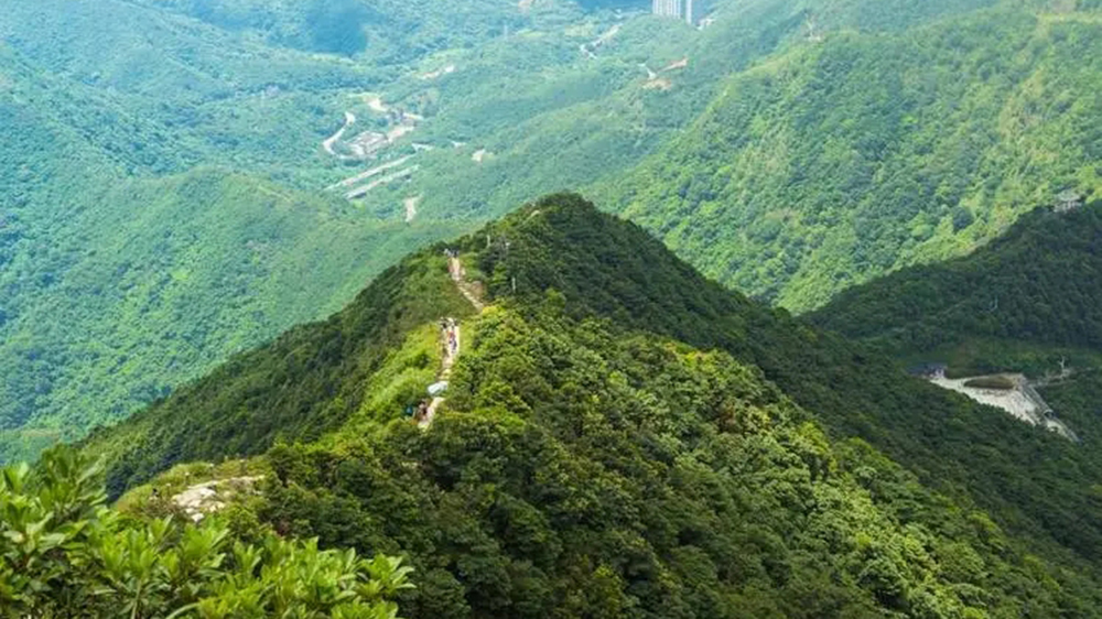 廣東梧桐山國家森林公園.jpg