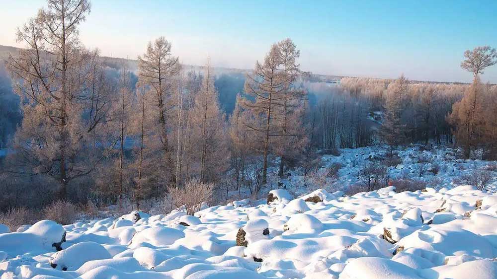 伊春雪景.jpg