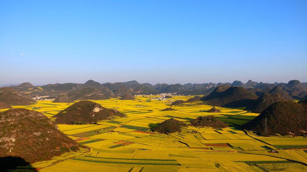 羅平金雞峰叢.jpg